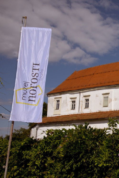 Museum of Madness (2020) poster