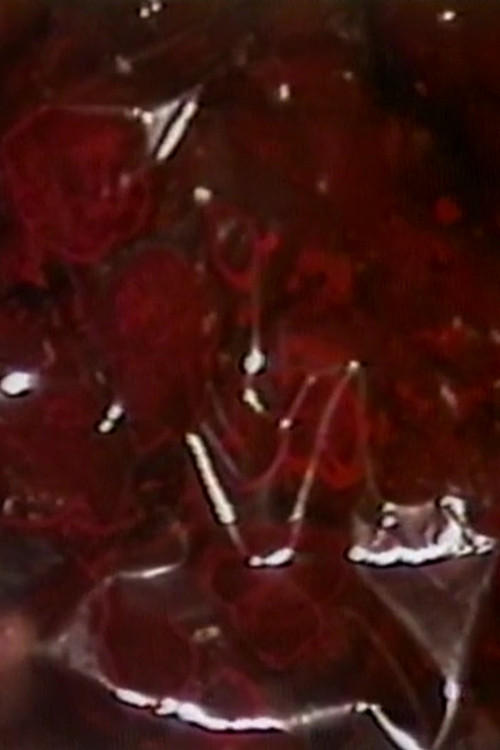 The Negotiating Table (1983) poster