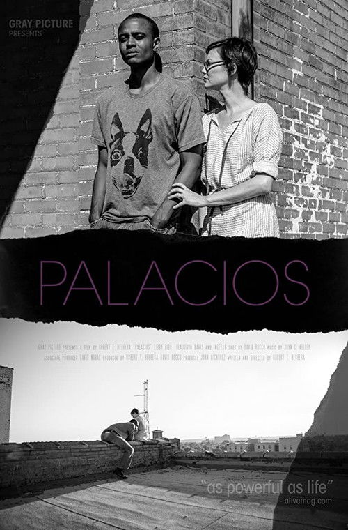 Palacios (2017) poster