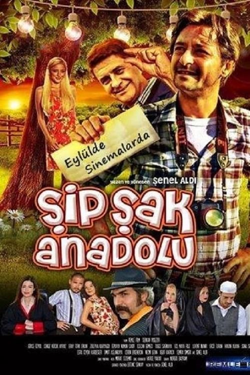 Şipşak Anadolu (2014) poster