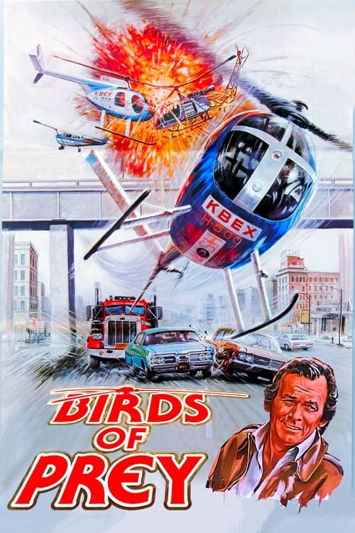 Birds of Prey (1973) poster