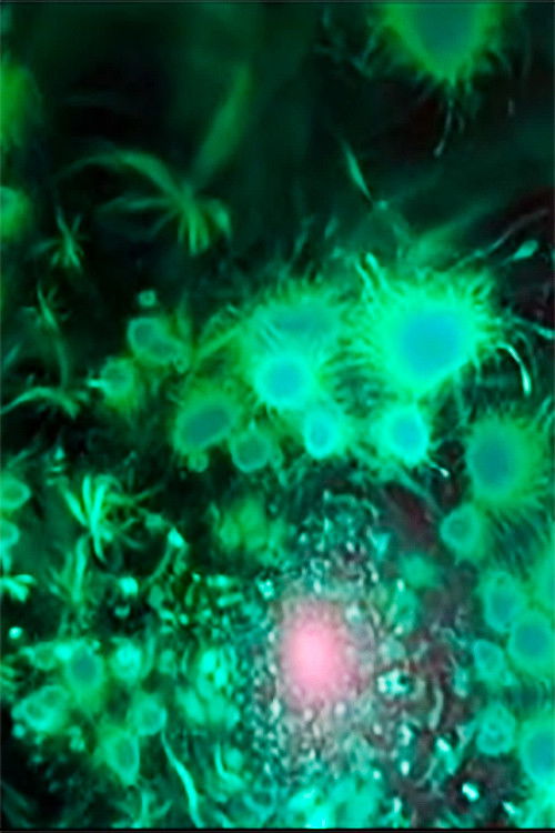 Water Ambiences (2011) poster