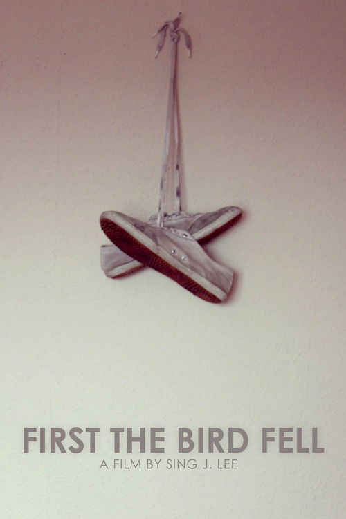 First the Bird Fell (2011) poster