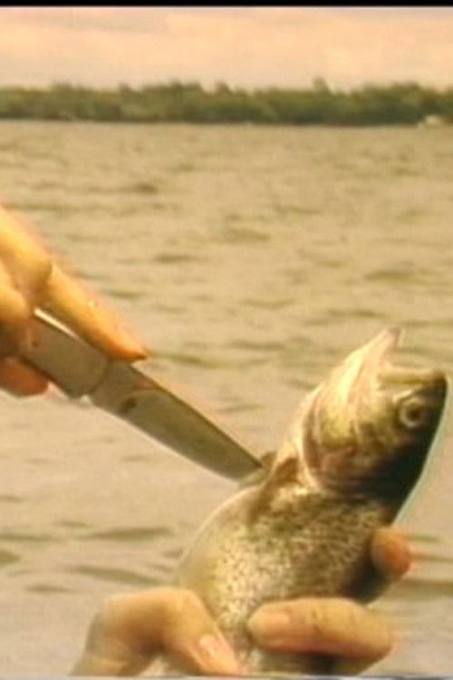 The Myth of the Fishes (1985) poster