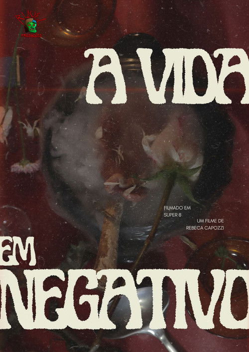 A Vida em Negativo poster