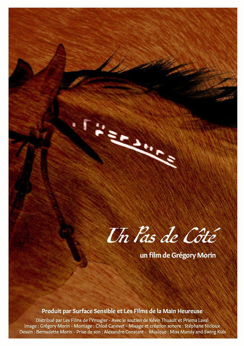 Un Pas De Côté (2025) poster