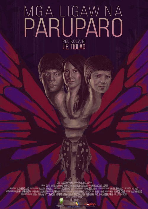 Wandering Butterflies (2014) poster