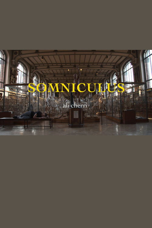Somniculus (2017) poster