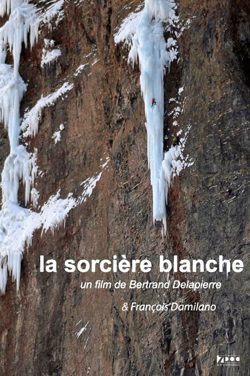 La Sorcière Blanche (2007) poster