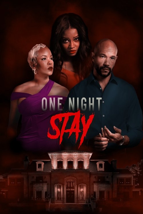 One Night Stay (2024) poster