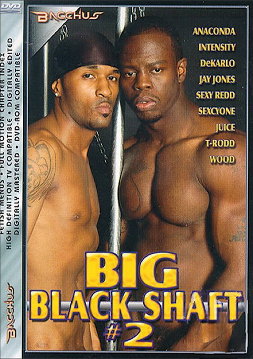 Big Black Shaft 2 (2004) poster