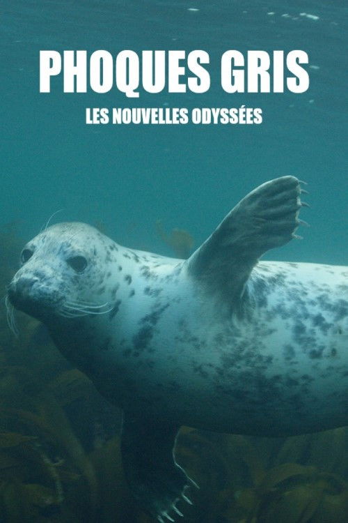 Grey Seals: A Journey of Survival (2016) poster