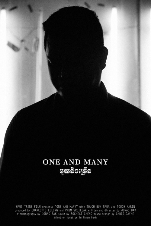 One and Many (2017) poster
