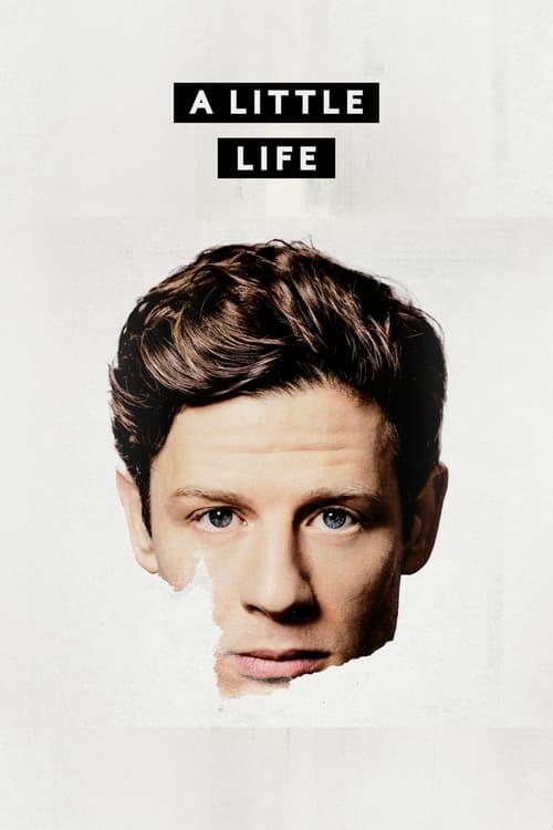 A Little Life (2023) poster