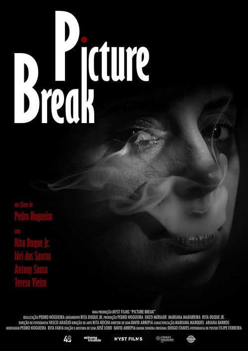 Picture Break (2024) poster