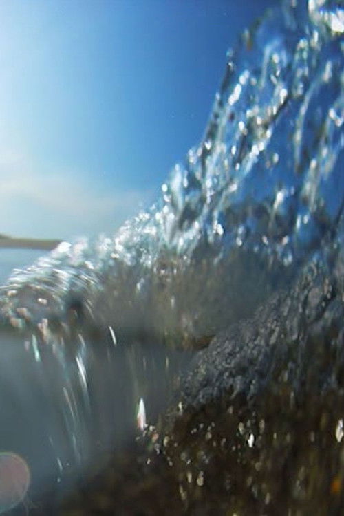 Liquid Image (2017) poster