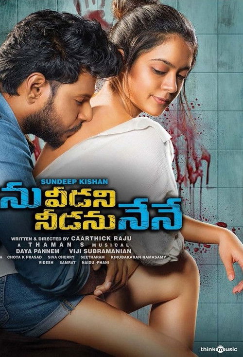 Ninu Veedani Needanu Nene (2019) poster