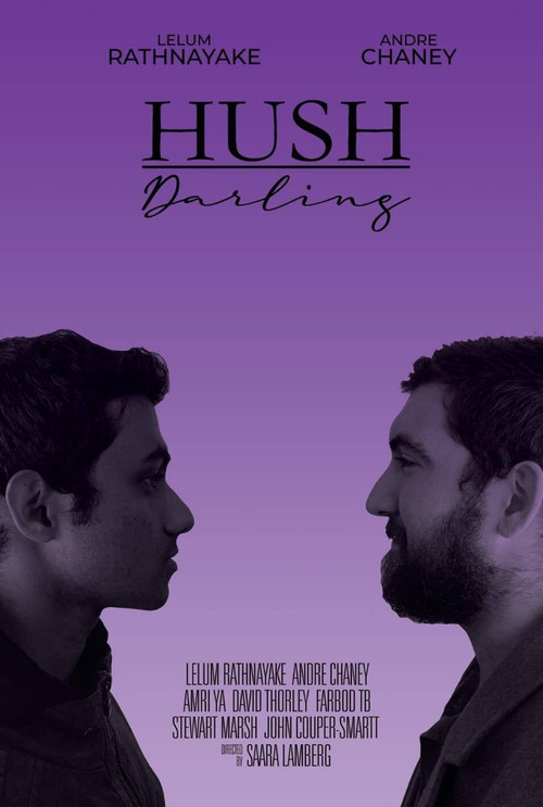 Hush Darling (2020) poster