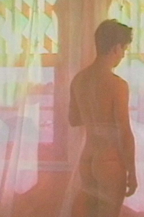 Harems (1991) poster