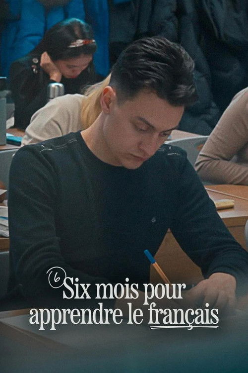 Six mois pour apprendre le français (2024) poster
