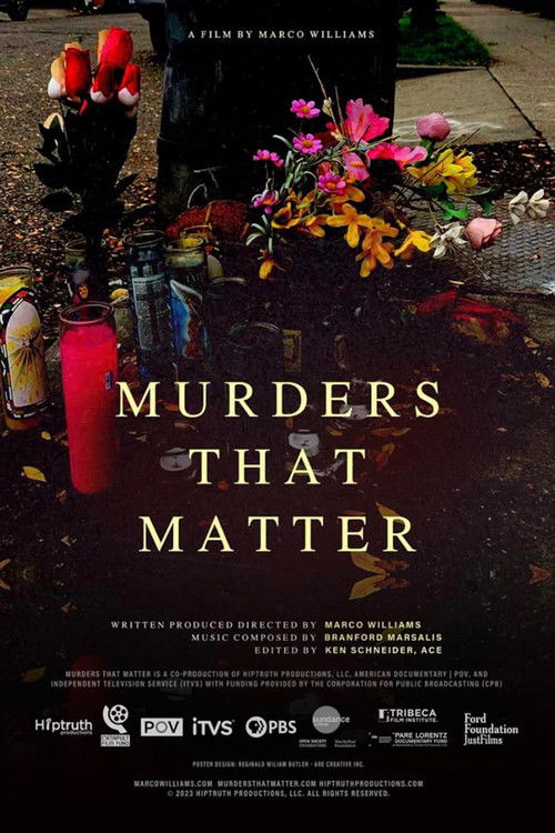Murders That Matter (2023) poster