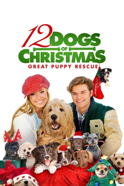 12 Dogs of Christmas: Great Puppy Rescue (2012) poster