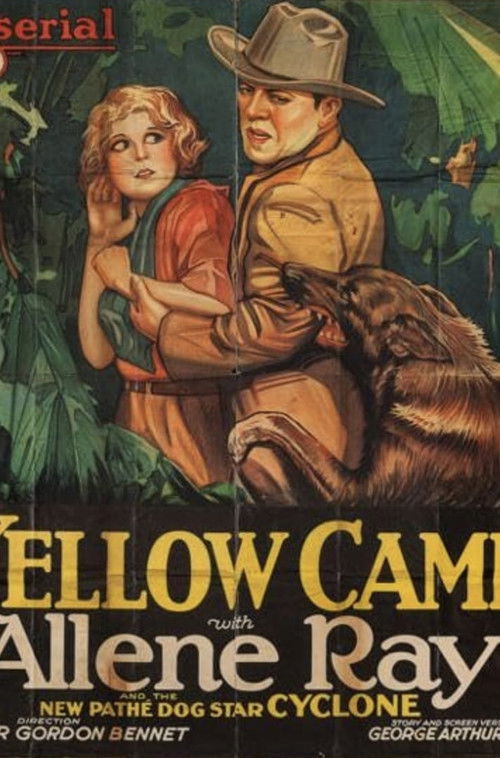 The Yellow Cameo (1928) poster