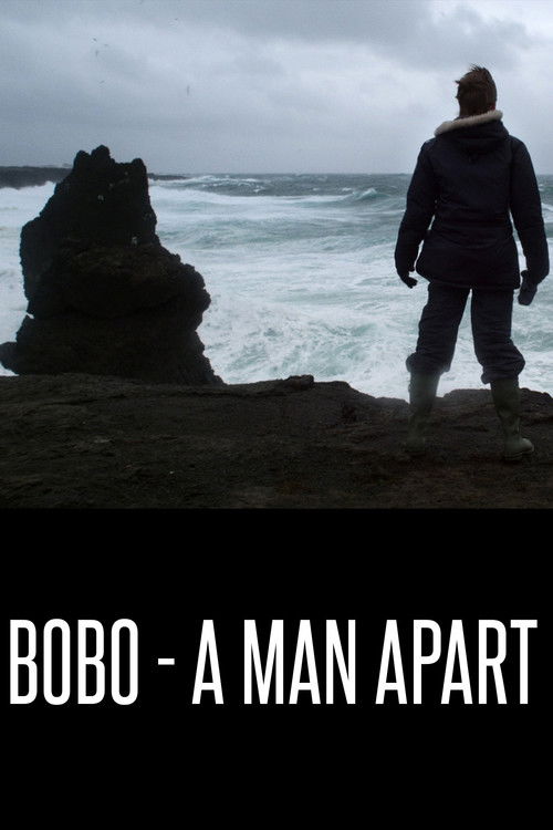 Bobo - A Man Apart (2013) poster