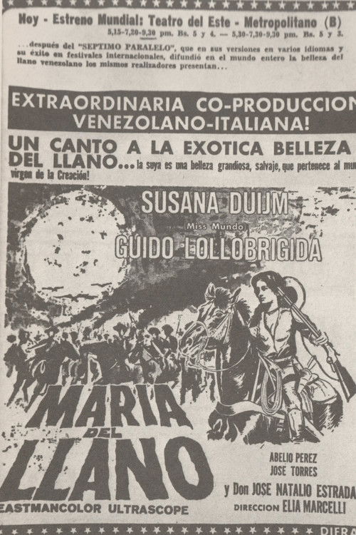 María del Llano (1965) poster