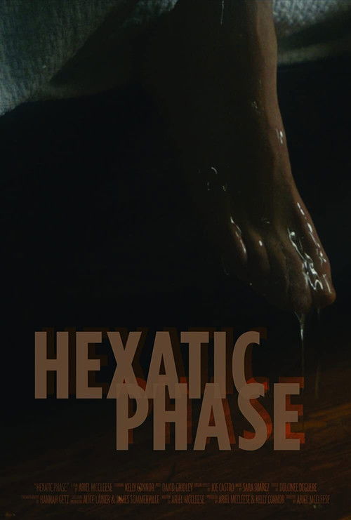 Hexatic Phase (2020) poster