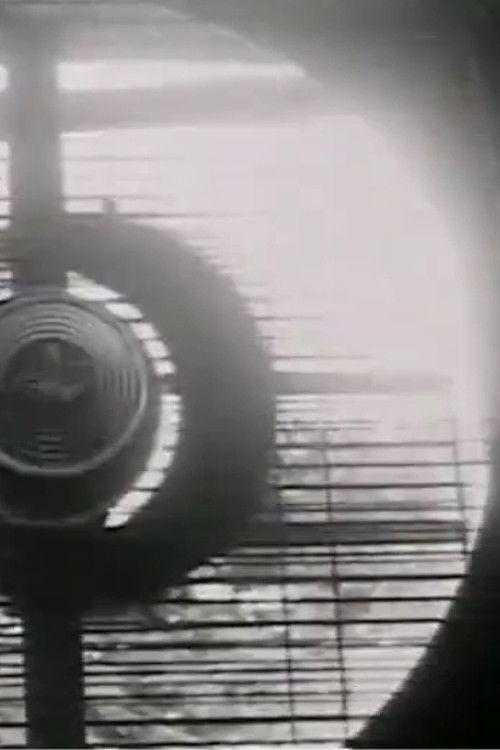 Numen Lumen (1974) poster