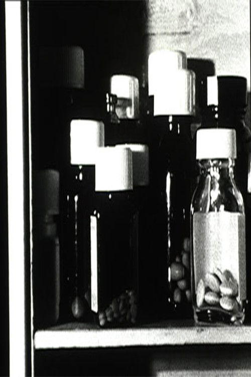 Medicine Box (2004) poster