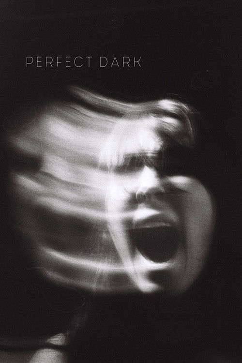 Perfect Dark (2023) poster