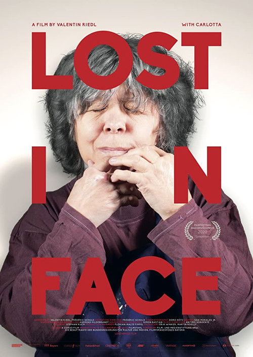 Lost in Face (2021) poster