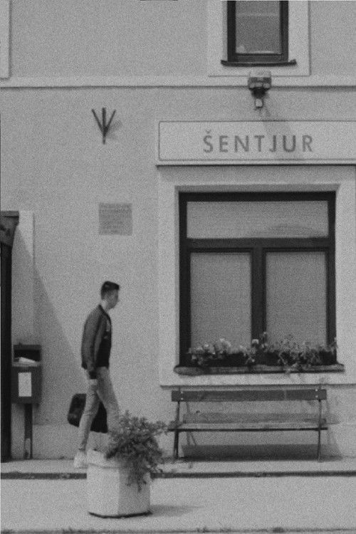 Apocalypse (2020) poster