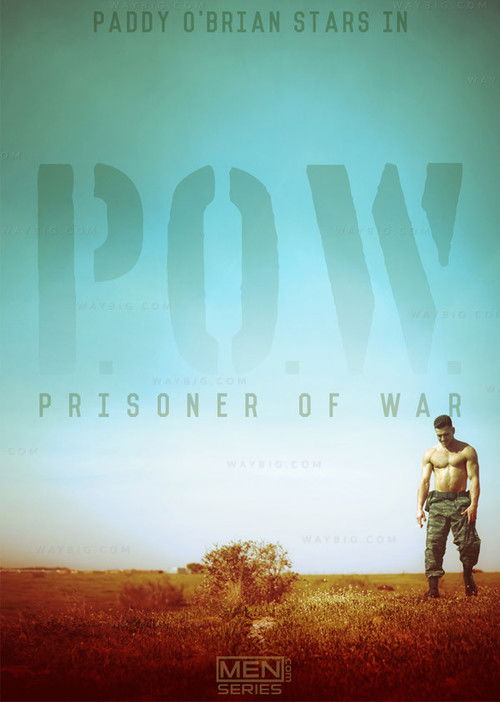 Prisoner of War (2014) poster