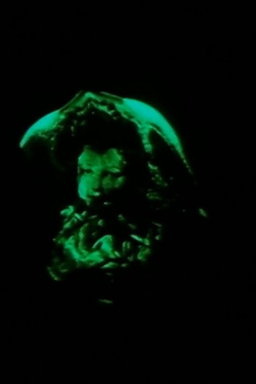 Ignorance Before Malice (2006) poster