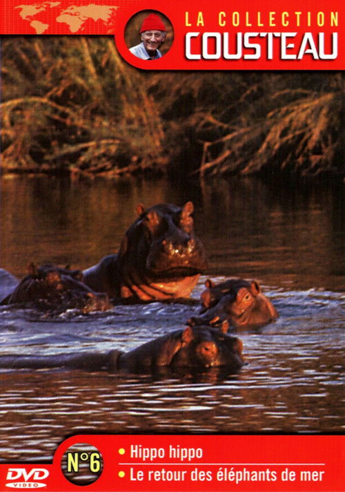 The Cousteau Collection N°6-1 | Hippo, Hippo (1973) poster