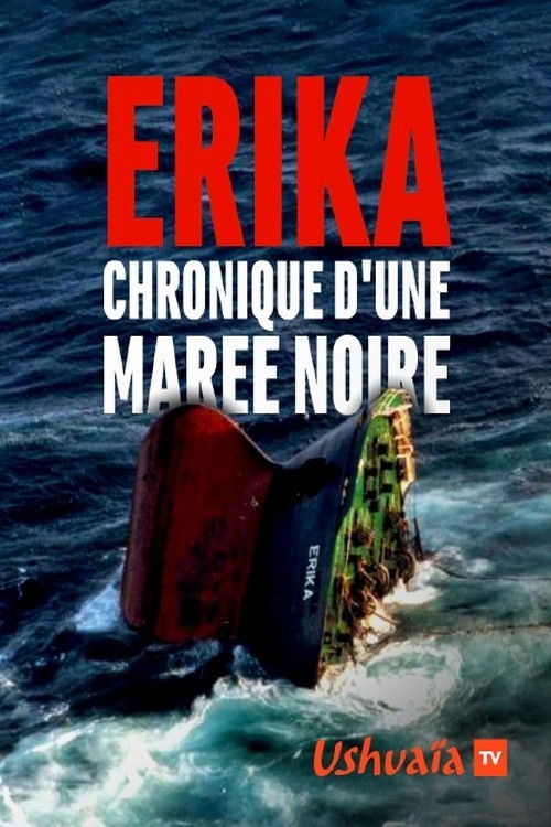 Erika, chronique d'une marée noire (2019) poster