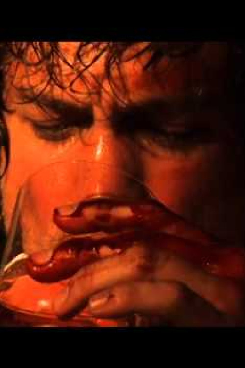 Vale Tudo Project (2009) poster