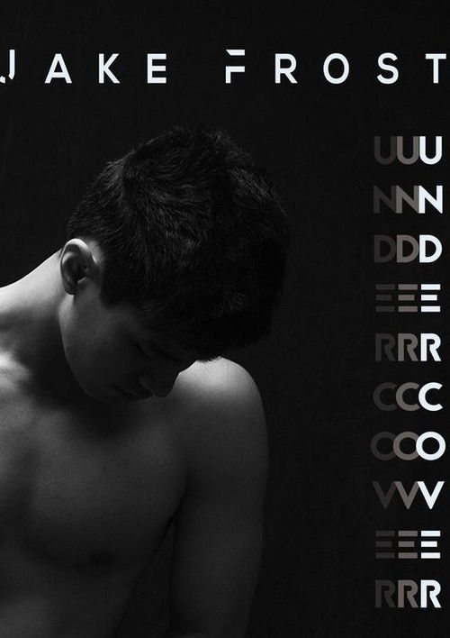 Jake Frost: Undercover (2019) poster