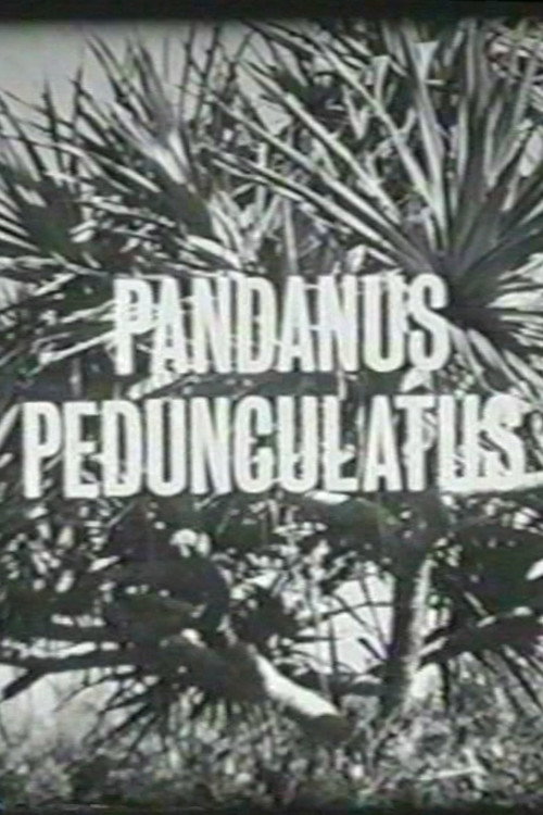 Pandanus Pedunculatus (1963) poster