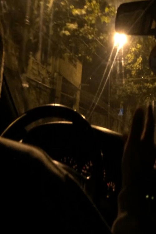 Taxi Tbilisi (2016) poster