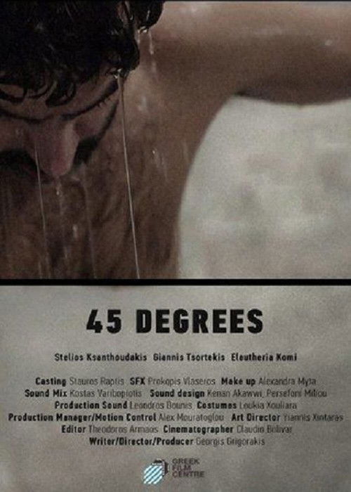 45 Degrees (2013) poster