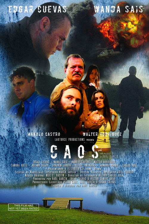 Caos (2010) poster