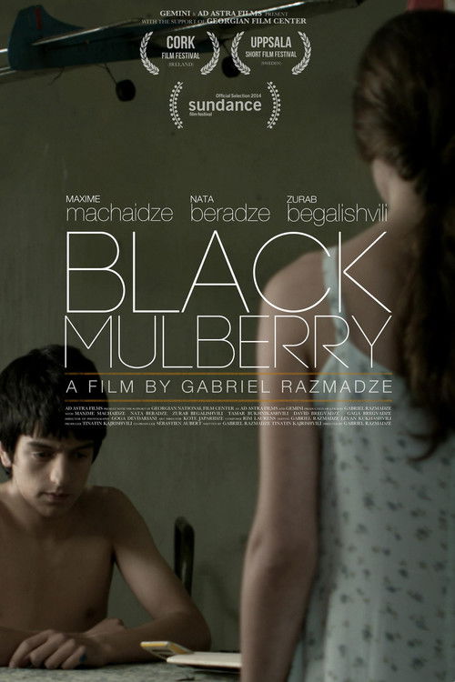 Black Mulberry (2012) poster