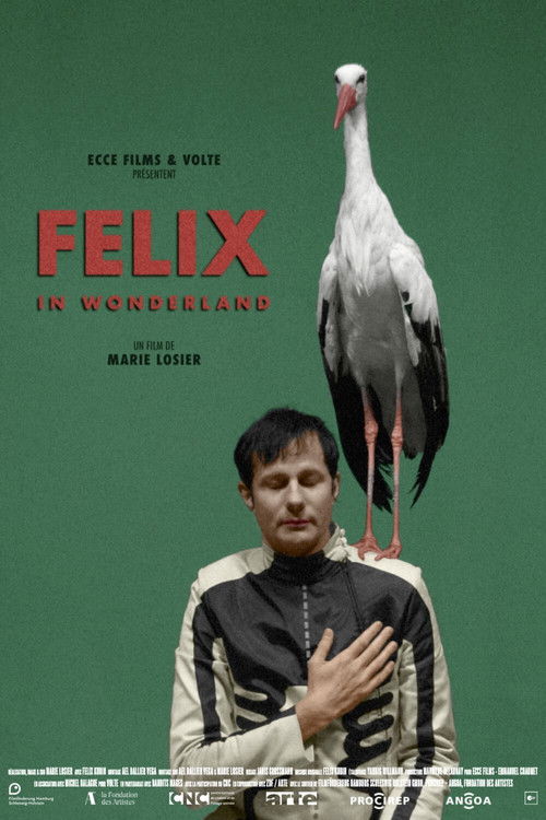 Felix in Wonderland (2019) poster
