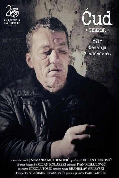 Temper (2015) poster