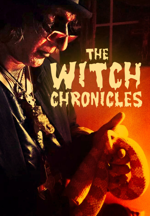 The Witch Chronicles (2015) poster
