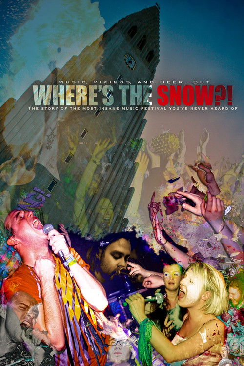 Where's the Snow?! (2010) poster
